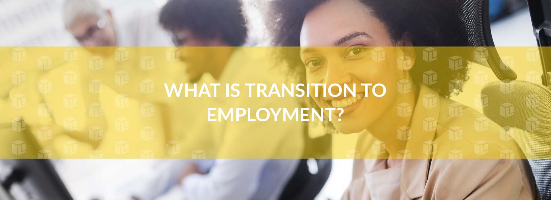 What Is Transition To Employment?